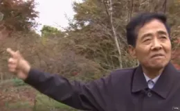 江蘇患癌教師賣房種樹，欠下百萬巨款，14年後賺6億，癌癥痊愈了