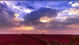 魅力山東：環山繞海雙臥8日遊