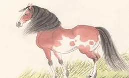 生肖馬禁忌：想走上坡路，就遠離這些人！不開玩笑！