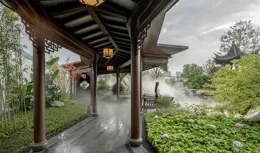 雜草叢生：如何打造整潔的院子？