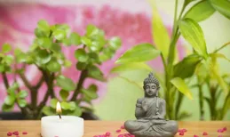 這三大生肖雖然好色，但卻非常專一