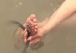 頭皮發麻！廣州一男子下水網友不料踩中爆炸鉤，腳掌紮滿魚鉤