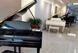 鋼琴品牌哪個品質最好？選購策略全解析