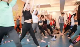 瑜伽寶藏大揭秘：阿斯東加與流瑜伽的奇妙之旅