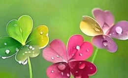 在時光中漫步，尋找內心的寧靜與幸福