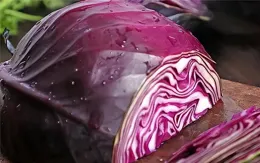 綠豆芽是腸癌患者的「好幫手」？忠告：不想身體變差，這3菜少吃