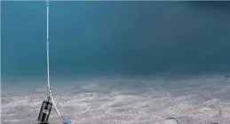 你真的會看浮標嗎？六大浮標異常讓你大開眼界！