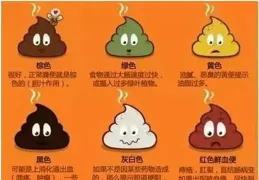 當心！出現這樣的便便，可能是腸癌！多看一眼真能救命……