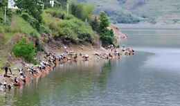 怎麽看野河裏的魚道？老釣手一般這樣判斷，一釣一個準！