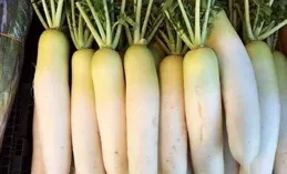 這東西40一斤，再貴也要買，常吃對孩子身體好，隔三差五就要吃