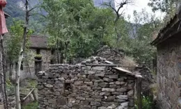 驚恐萬狀！江西撫州，有村民在野外田邊，拍到條紅色脖子綠尾巴蛇