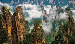 適合三伏讀的清涼詩詞，於悠然天地間撫平焦躁