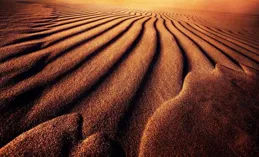 攝影入門必備！學會這個萬能構圖法，讓你成為拍照達人