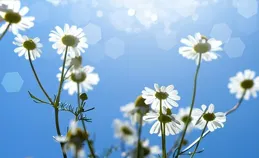 小腿是人體「第二心臟」，這樣走，每天100下，腿腳有力心臟好