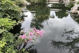 暑假賞景避暑新玩法！你知道了就好，千萬別外傳～