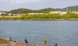 釣魚人探索自然之謎：野釣中尋覓「魚道」的藝術