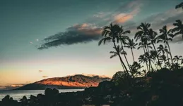 人生無常，莫負韶華