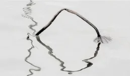 什麽是攝影語言？攝影語言包括哪些方面？