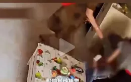 2歲幼童吵醒午睡父親被暴打，母親想離婚，父親寫保證書欲挽回！