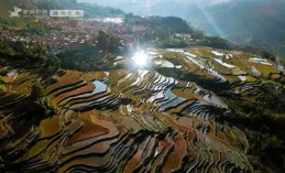 探秘烏布梯田：自然光影間的攝影之旅，你準備好了嗎？