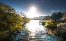 傲嬌的白羊，你的愛情之路為何充滿坎坷？