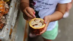 海南文昌的景點和美食攻略有什麽值得分享？