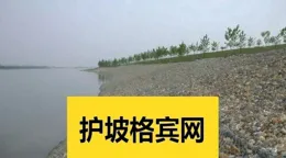 東索蔓烏植桑俏鋤籠盤貨限？