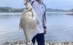 為啥你用玉米釣不到魚？避開這幾大誤區，巨物拉到手抽筋