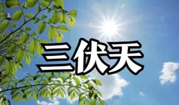 2024年三伏天揭秘：60年一遇的養生黃金期，你準備好了嗎？