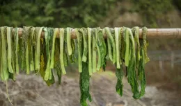 每日一個雞蛋，姐妹倆陸續確診乳癌？母親痛哭：是我害了她們