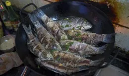 活久見!情侶衛生間現身信陽燒烤店，我卻笑死在評論區!