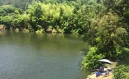 夏季野釣，怎樣才能把大魚誘進窩點？有人說找魚道，方法管用嗎？