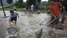 暴雨過後意外豐收：釣友秒變