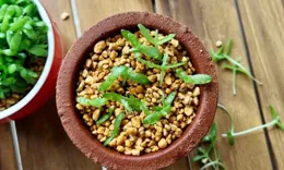 挖塊火龍果丟盆裏，長出來的苗太萌，網友：多肉看了都自愧不如