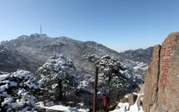 隨緣而行，智慧生活