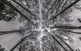 7月16-9月16，雨過天晴，強勢轉運，鹹魚翻身，財源廣進的4個生肖