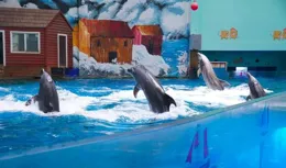 大·暑 | 盛夏「趣」哪兒？奇幻海洋等你來嗨