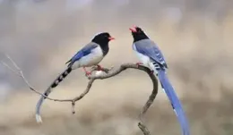 24句話，句句穿透人心，簡直太精辟了！