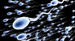 四成男性不育是同一原因，五招養成易孕精子！