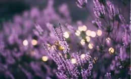 7 月，三大星座好運難擋，運勢顯著上揚，財運節節高升！