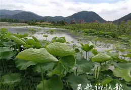 生態水鄉 只為「玉」見 岫巖以「綠」為媒促發展