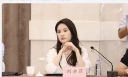 劉亦菲上北京新聞了，穿白襯衣都那麽仙！更出眾的是她的優秀發言