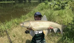 釣草魚時有口打不到的4個原因，字字珠璣