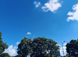 欣賞別人，是一種提升自我心懷的本領