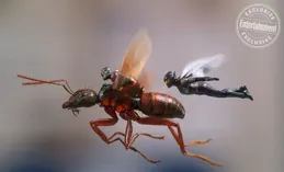 王峰撿到寶了！2024年最值得期待的二年級生：他的下一站是天王？