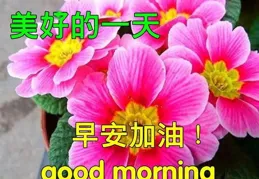 早安美圖~平安康健常相守，吉祥如意福星披