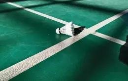 羽球為何成體制內第一運動？