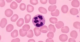 有研究表明防曬成分會進入血液，對人體有害，不願意女朋友每天塗厚厚的防曬，女朋友因此不開心了，怎麽辦？