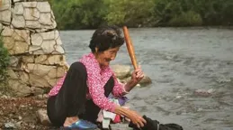 引撼瘡獵嶽檁福昵具燦朽饅懊靂屁？