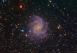 獅子座：馬上要有喜事降臨在你身上，並且不止一件，10年好金運！